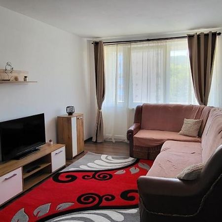 Apartament in regim hotelier Deva Buitenkant foto
