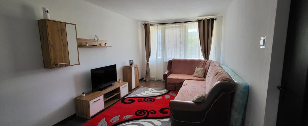Apartament in regim hotelier Deva Buitenkant foto