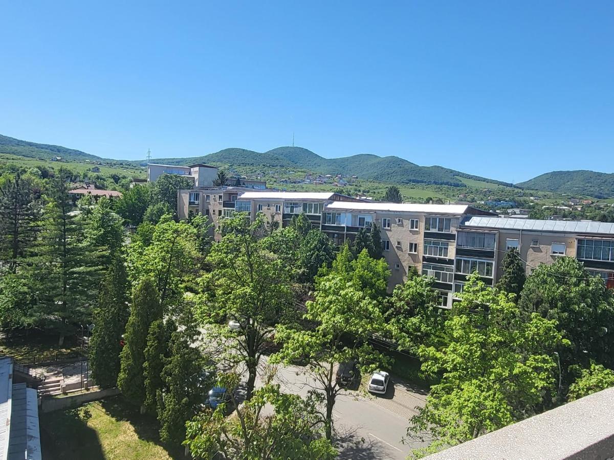 Apartament in regim hotelier Deva Buitenkant foto